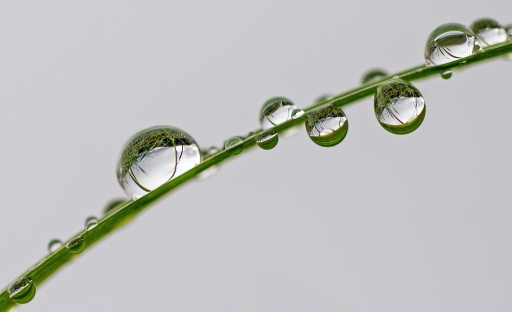 2012-10-28 / Dedales
Par Dedales dans vos photos a themes - Gouttes
