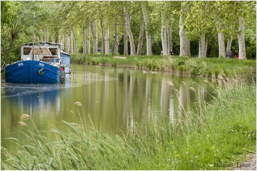 2013-05-19 / Pech_les oies
Pech_les oies [ Plans d'eau / Rivieres ]
