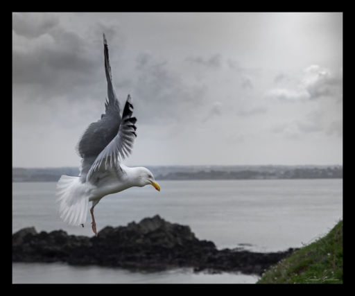 2014-02-17 / lolo26
lolo26 [ Faune sauvage ]
