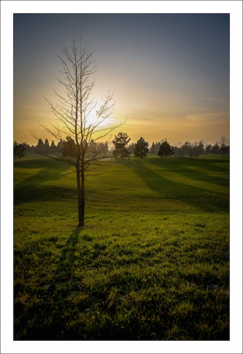 2014-03-31 / Mickmac
Mickmac [ Coucher / Lever de soleil ]
