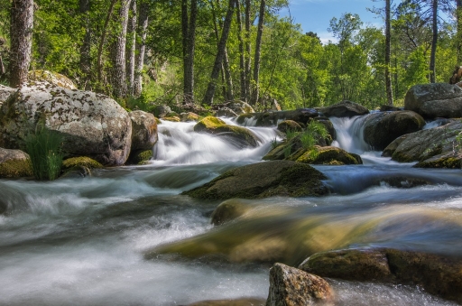 2014-05-19 / SPentaxQR
SPentaxQR  [ Plans d eau / Rivieres ]
