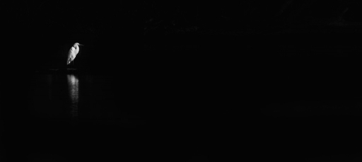 2015-01-18 / olilignan
olilignan [ Noir et Blanc, Sepia et desaturation partielle ]
