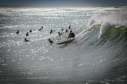 2016-02-22  raptor.dst
raptor.dst  [Sport]
