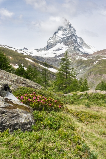 2018-06-28  ASM
ASM  Randonnee a pied face au Cervin en Suisse
