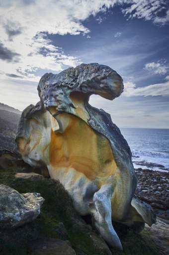 2020-02-07 vinhug
vinhug  Fossile et Géologie 1
