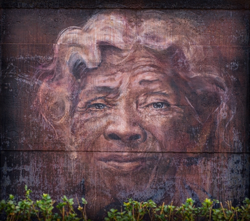 2020-05-20 Electro35
Electro35 [Portraits]
