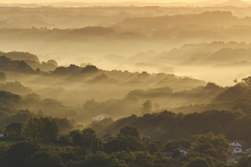 2020-07-30 vinhug
vinhug [Paysages et éléments naturels]
