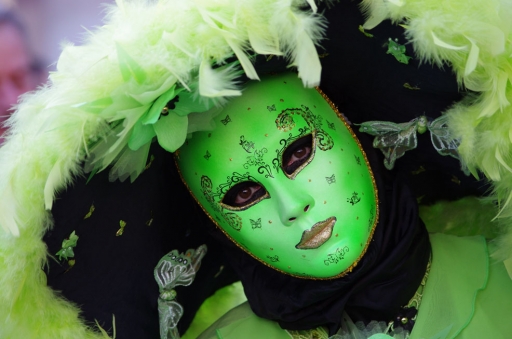 2013-02-03 / gmevasion
gmevasion "Carnaval Venitien 2014 a ROSHEIM (les photos) suite"
