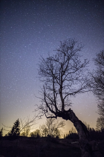 2021-09-23 pierrot73210
pierrot73210 [Paysages et éléments naturels]
