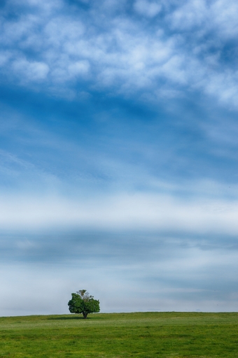 2022-05-11  charlysouho

charlysouho [Paysages et éléments naturels]
