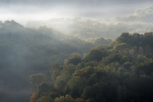 2023-01-19 charlysouho
charlysouho  [Paysages et éléments naturels]
