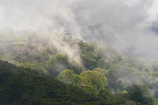 2023-05-25 vinhug
vinhug [Paysages et éléments naturels]
