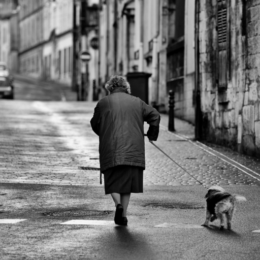 2024-01-11 charlysouho 
charlysouho [Environnement urbain et constructions humaines]
