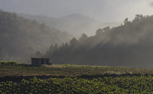 2017-09-15 charlysouho
charlysouho  [Paysages et elements naturels]
