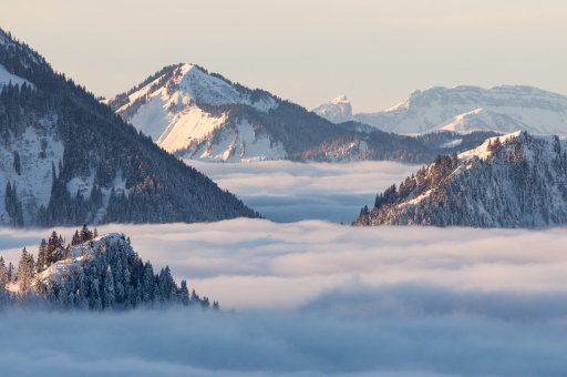 2021-01-28 ASM
ASM  [Paysages et éléments naturels]
