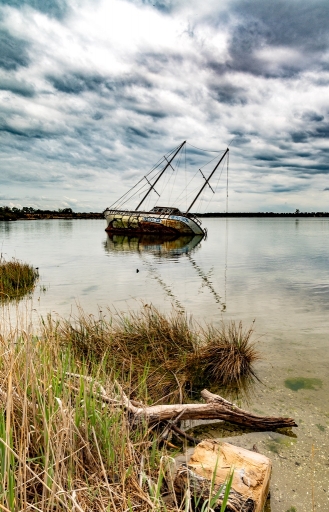 2022-04-28 neosilencers
neosilencers [Paysages et éléments naturels]
