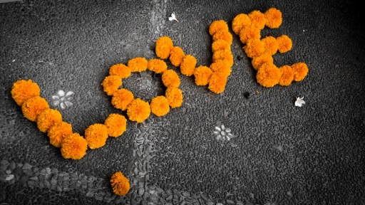 2016-12-26  FreD69
FreD69 [Natures mortes, photos d'objets] 
