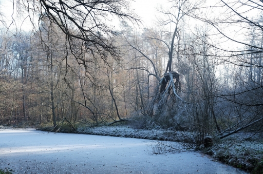 2022-12-29 Hermès
Hermès  [Paysages et éléments naturels]
