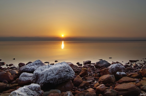 2017-09-11 CarpoDingo
CarpoDingo  [Paysages et elements naturels]
