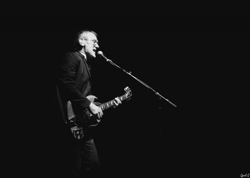 2018-10-03 CarpoDingo
CarpoDingo   Spectacles et Concerts
