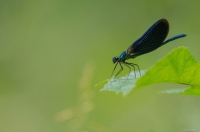 Nom du fichier=160703124316814909.jpg
Taille du fichier=285Ko
Dimensions : 995x659
Ajouté le : 03 Juillet 2016 160703124316814909.jpg