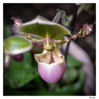 Nom du fichier=16600026856_9454127b46_o.jpg
Taille du fichier=341Ko
Dimensions : 800x800
Ajouté le : 27 Février 2015 16600026856_9454127b46_o.jpg