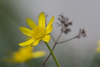 Nom du fichier=18010303544516774815435157.jpg
Taille du fichier=270Ko
Dimensions : 990x670
Ajouté le : 03 Janvier 2018 18010303544516774815435157.jpg