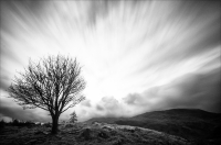 Nom du fichier=1912051052018327616542940.jpg
Taille du fichier=439Ko
Dimensions : 1200x795
Ajouté le : 05 Décembre 2019 1912051052018327616542940.jpg