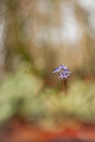 Nom du fichier=24022108532024958918360136.jpg
Taille du fichier=319Ko
Dimensions : 800x1200
Ajouté le : 21 Février 2024 24022108532024958918360136.jpg