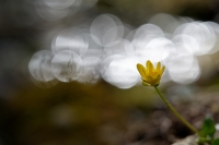 Nom du fichier=24032010124524454618375218.jpg
Taille du fichier=318Ko
Dimensions : 1280x853
Ajouté le : 20 Mars 2024 24032010124524454618375218.jpg