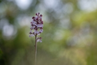 Nom du fichier=24051507141224454618406501.jpg
Taille du fichier=264Ko
Dimensions : 1280x854
Ajouté le : 15 Mai 2024 24051507141224454618406501.jpg