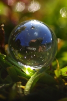 Nom du fichier=474611IMGP6732.jpg
Taille du fichier=271Ko
Dimensions : 681x1024
Ajouté le : 20 Avril 2017 474611IMGP6732.jpg