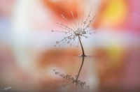 Nom du fichier=49825935258_01a64f5a8f_o.jpg
Taille du fichier=377Ko
Dimensions : 1280x851
Ajouté le : 27 Avril 2020 49825935258_01a64f5a8f_o.jpg