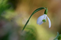 Nom du fichier=ZLVPd.jpg
Taille du fichier=457Ko
Dimensions : 1280x850
Ajouté le : 25 Février 2021 ZLVPd.jpg