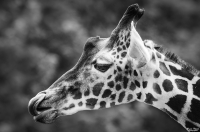 Nom du fichier=_IGP4083_v1.jpg
Taille du fichier=479Ko
Dimensions : 1280x847
Ajouté le : 07 Octobre 2019 _IGP4083_v1.jpg