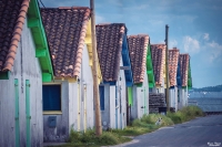 Nom du fichier=_IMG0500_1.jpg
Taille du fichier=480Ko
Dimensions : 1024x682
Ajouté le : 24 Octobre 2019 _IMG0500_1.jpg