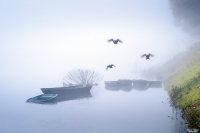 Nom du fichier=_IMG0624_5.jpg
Taille du fichier=387Ko
Dimensions : 1280x854
Ajouté le : 21 Novembre 2019 _IMG0624_5.jpg