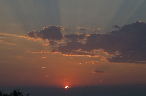 2014-03-28/tequilla2904
tequilla2904 [ Coucher / Lever de soleil ]
