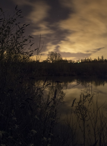 2015-01-23/elficologue
elficologue [ Nuit ou poses longues ]
