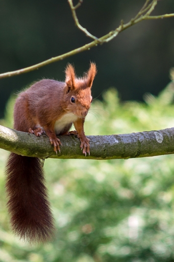 2016-04-11/j__c
j__c  [Faune sauvage] 
