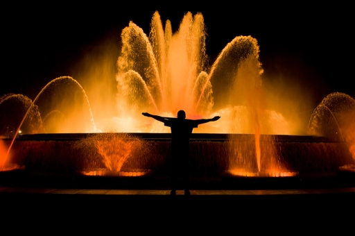 2015-03-20/guepard
guepard [ Nuit ou poses longues ]
