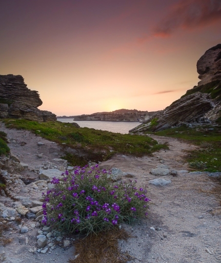 2017-07-13 Olilignan
Olilignan [Paysages et elements naturels]
