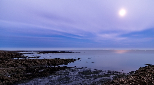 2017-09-07 neosilencers
neosilencers [Paysages et elements naturels]
