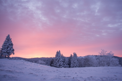 2017-12-07 Gin.net
Gin.net [Paysages et elements naturels]
