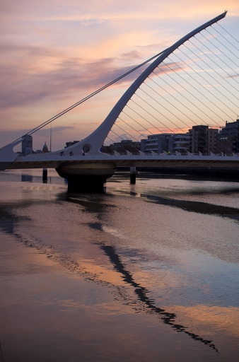 2016-06-10/Elficologue
Eflicologue "Pentaxone chez les verts : les photos"
