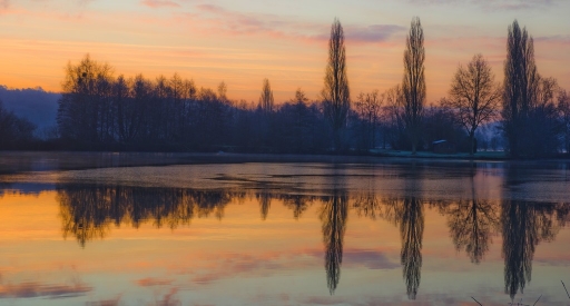 2015-01-03/Fred69
Fred69 [ Reflets et ombres ]
