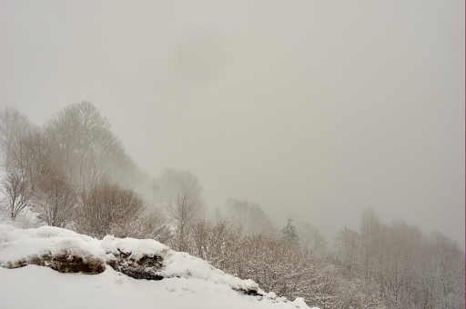 2016-03-12/Giom
Giom "Les Vosges"
