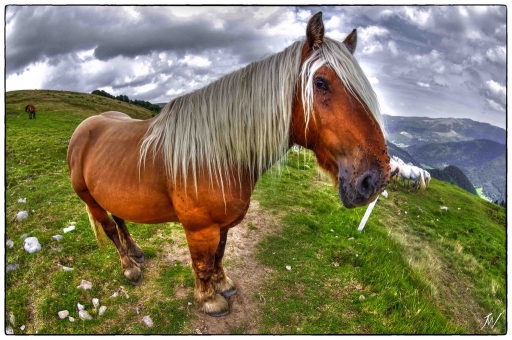 2013-01-06 / Jérémy67
Jeremy67  [ Photographies HDR et DRI ]
