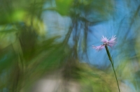 Nom du fichier=160901080944887854.jpg
Taille du fichier=78Ko
Dimensions : 1024x678
Ajouté le : 01 Septembre 2016 160901080944887854.jpg