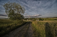 Nom du fichier=17062402050213388115110766.jpg
Taille du fichier=251Ko
Dimensions : 1024x683
Ajouté le : 28 Juin 2017 17062402050213388115110766.jpg